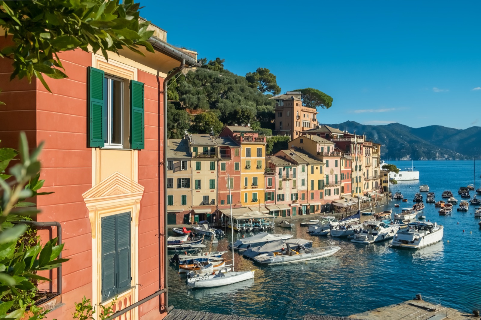 Portofino's harbour and painted houses